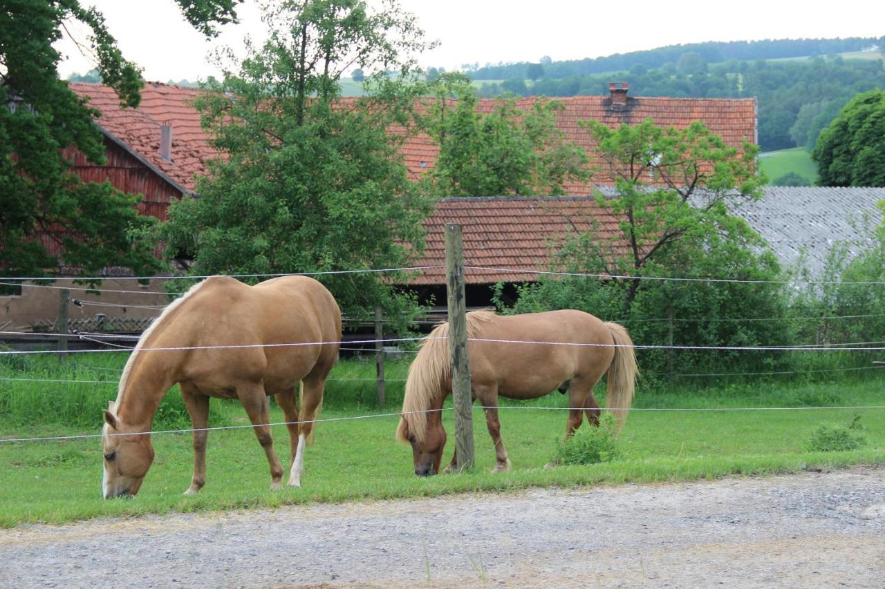 Ferienwohnung Ziegler Ebersburg Exterior foto